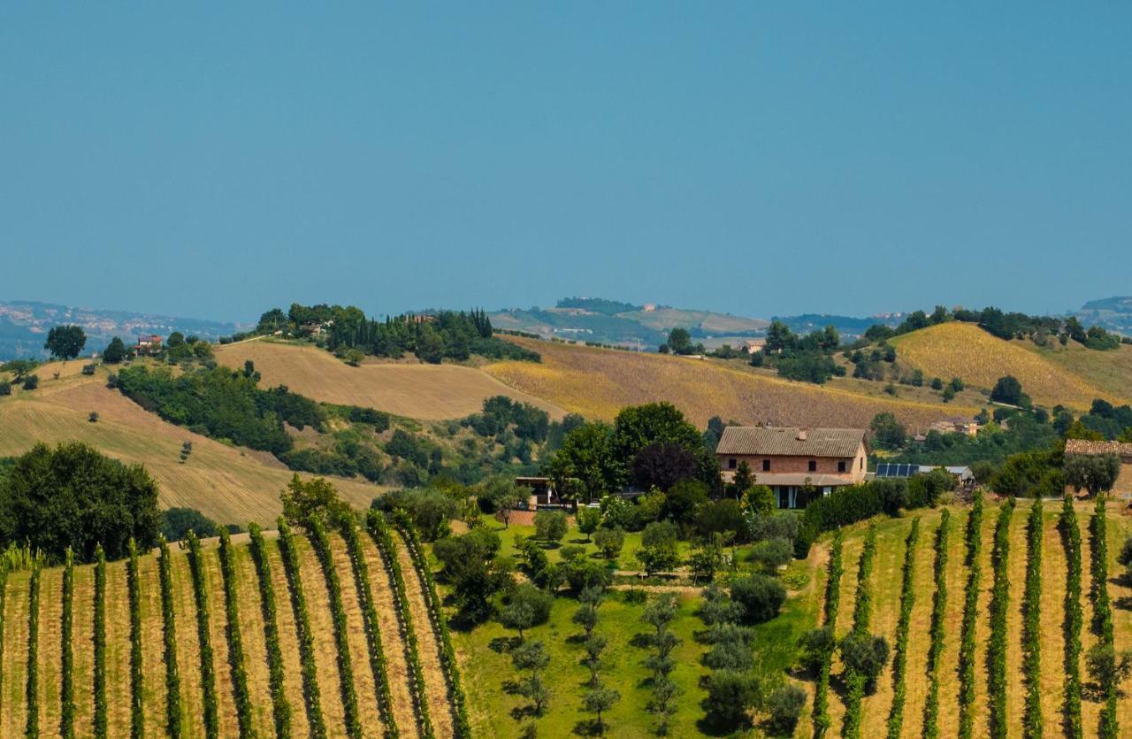 La Vigna Countrybnb Montottone Zewnętrze zdjęcie